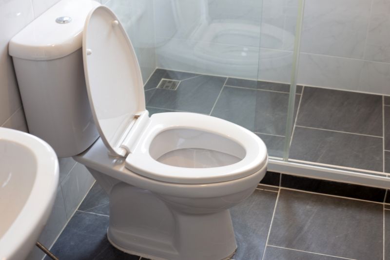 Contemporary Toilet Designs